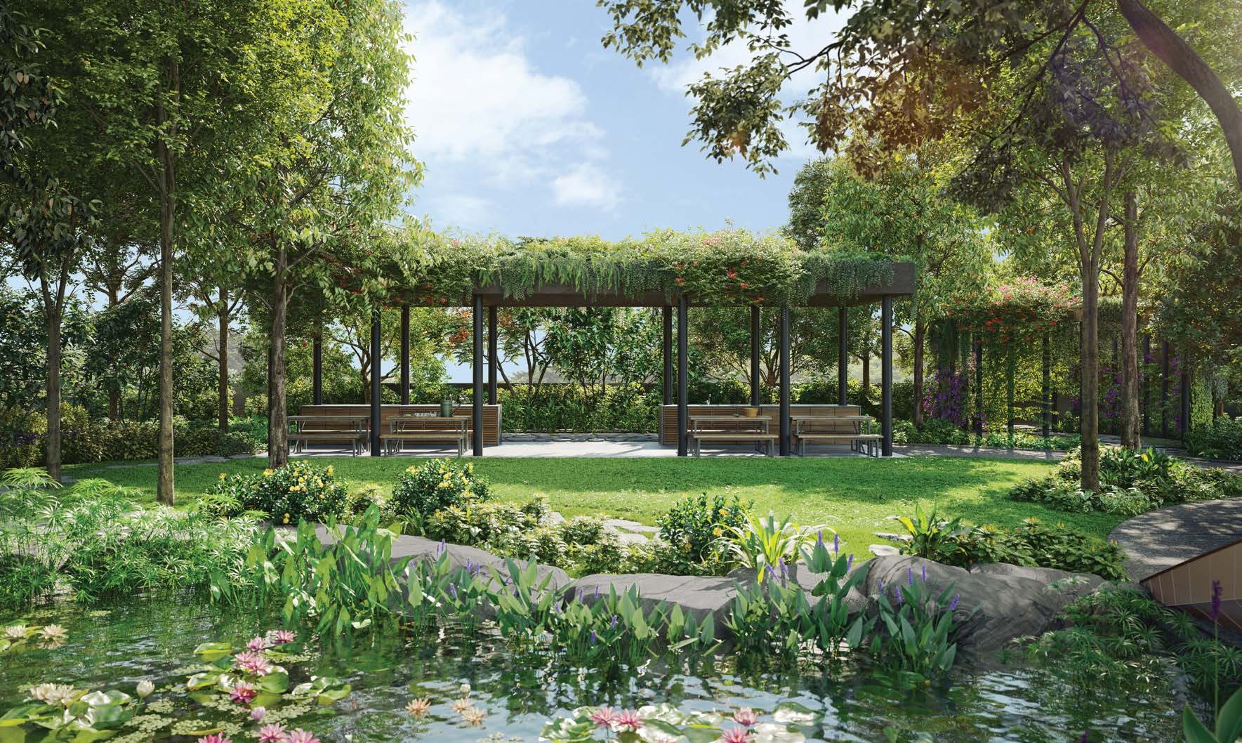 Lawn and pergola